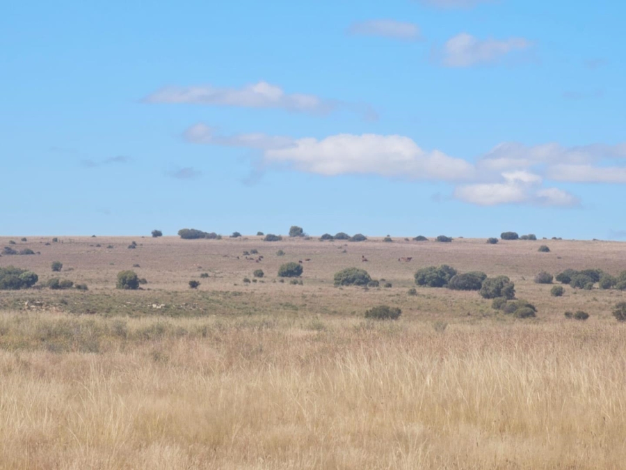 4 Bedroom Property for Sale in Dewetsdorp Free State